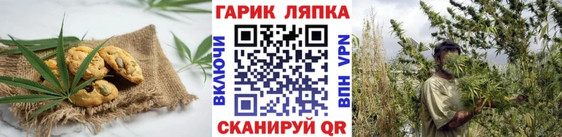 купить наркотик  mega ONION  Cannafood конопля  Губаха 