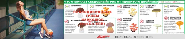 хмурый Осинники