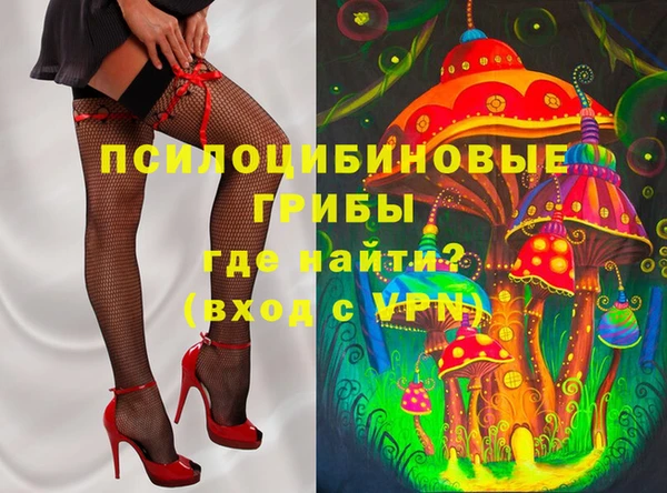 прущий лед Пересвет