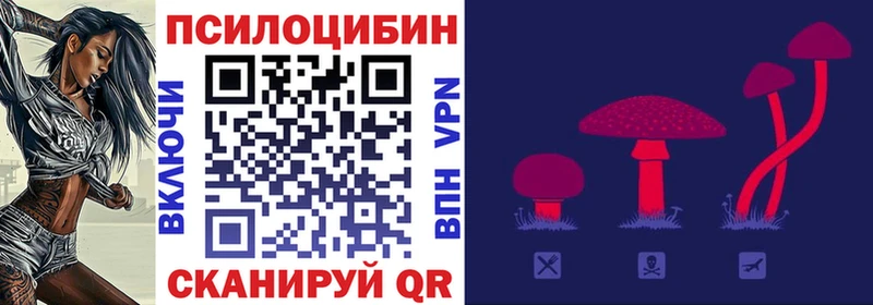 OMG Губаха Галлюциногенные грибы Magic Shrooms где продают наркотики