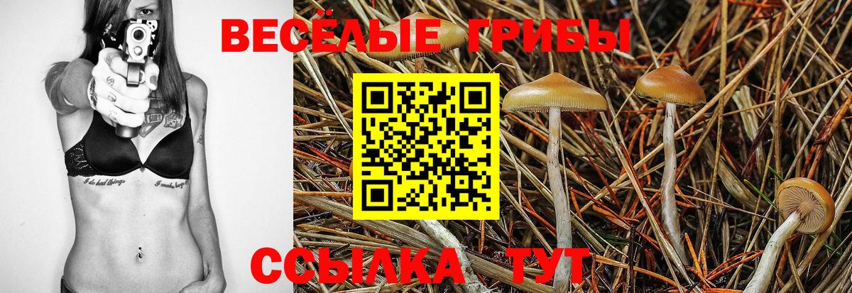 Меф  A PVP  Губаха  Кокаин  Cocaine  Купить наркотик  Вход с VPN  Масло THC  МЕФ  Кислота  Хэш  Бошки Шишки 