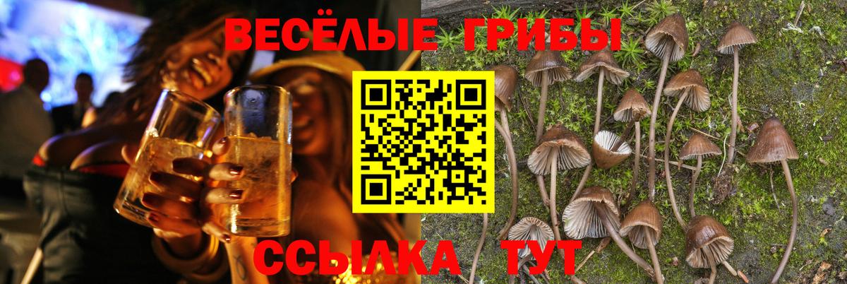 Губаха  закладки  Галлюциногенные грибы мицелий  Вход с VPN  Псилоцибиновые грибы MAGIC MUSHROOMS 